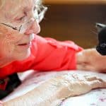 Why Pet-Sitting is the Purrfect Side Gig Why Pet-Sitting is the Purrfect Job for Older Adults
