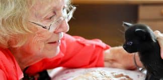 Why Pet-Sitting is the Purrfect Job for Older Adults