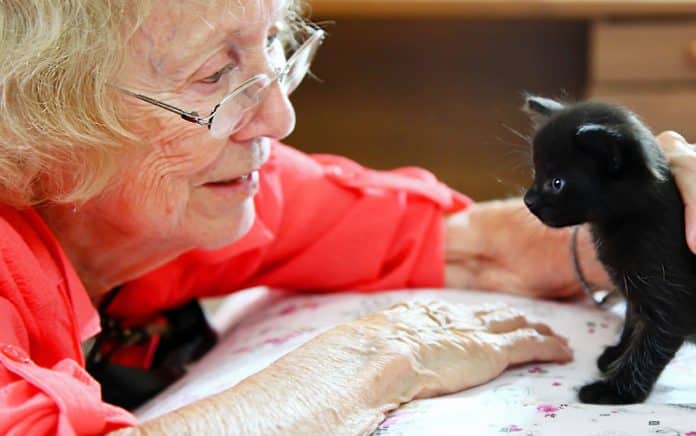 Why Pet-Sitting is the Purrfect Job for Older Adults Why Pet-Sitting is the Purrfect Job for Older Adults