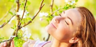 Why Spring is the Perfect Time to Get Your Finances in Order