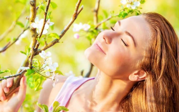 Why Spring is the Perfect Time to Get Your Finances in Order Why Spring is the Perfect Time to Get Your Finances in Order