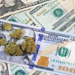 How CBD Stocks Work