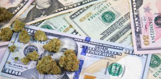 How CBD Stocks Work