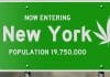 The Medical Marijuana Program is Evolving in New York