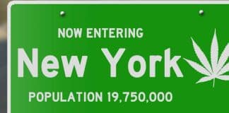 The Medical Marijuana Program is Evolving in New York