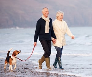 403(b) versus 401(k) Retirement Accounts: Which is Better?