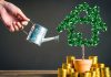 What’s the LEAST important thing to look for in an investment?