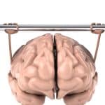 5 Ways to Exercise Your Brain