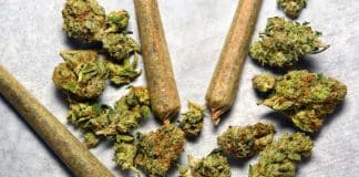Congress Turns Its Attention to Marijuana This Week