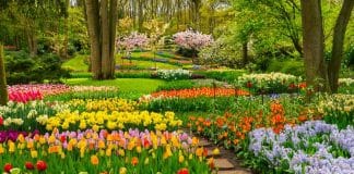 National Garden of American Heroes