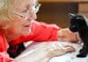 Why Pet-Sitting is the Purrfect Job for Older Adults