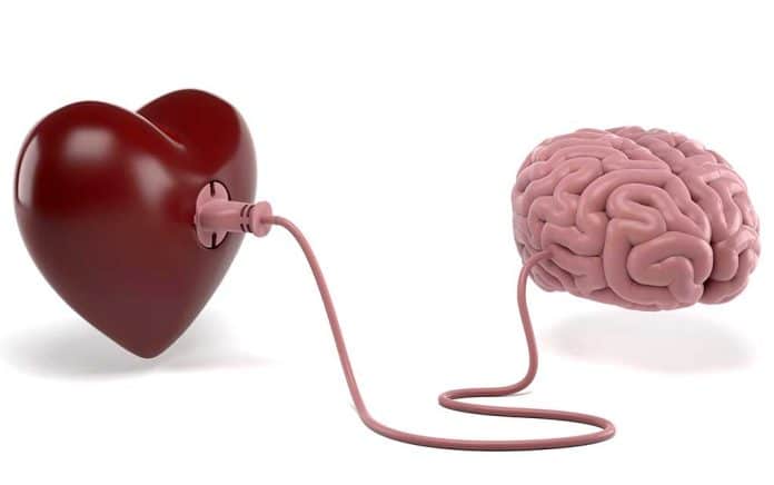 How Focusing on Heart Health Can Protect Your Brain